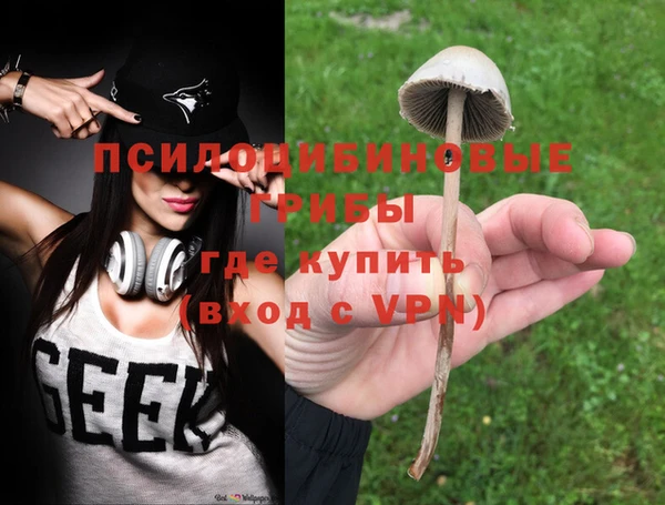 ECSTASY Алзамай