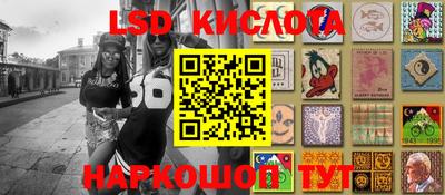 гидра Краснодар