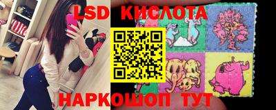 гидра Краснодар