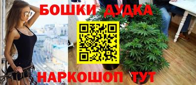 гидра Краснодар