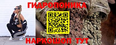 гидра Краснодар