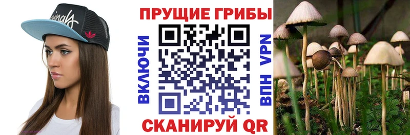 кракен ONION  Клин  Галлюциногенные грибы Magic Shrooms 