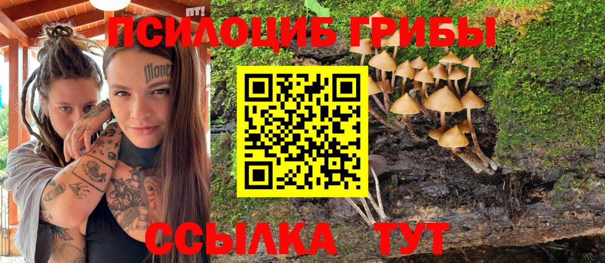 Псилоцибиновые грибы прущие грибы  Вход с VPN  Клин 